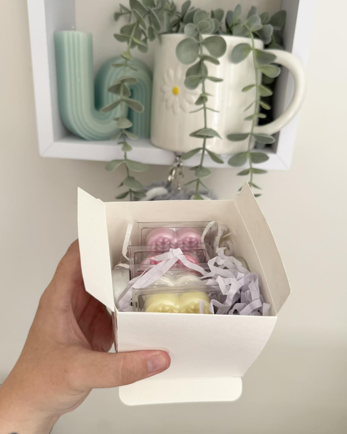 Wax melt Starter Box